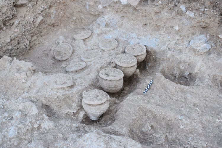 Las macetas in situ en el yacimiento de Villa Adriana