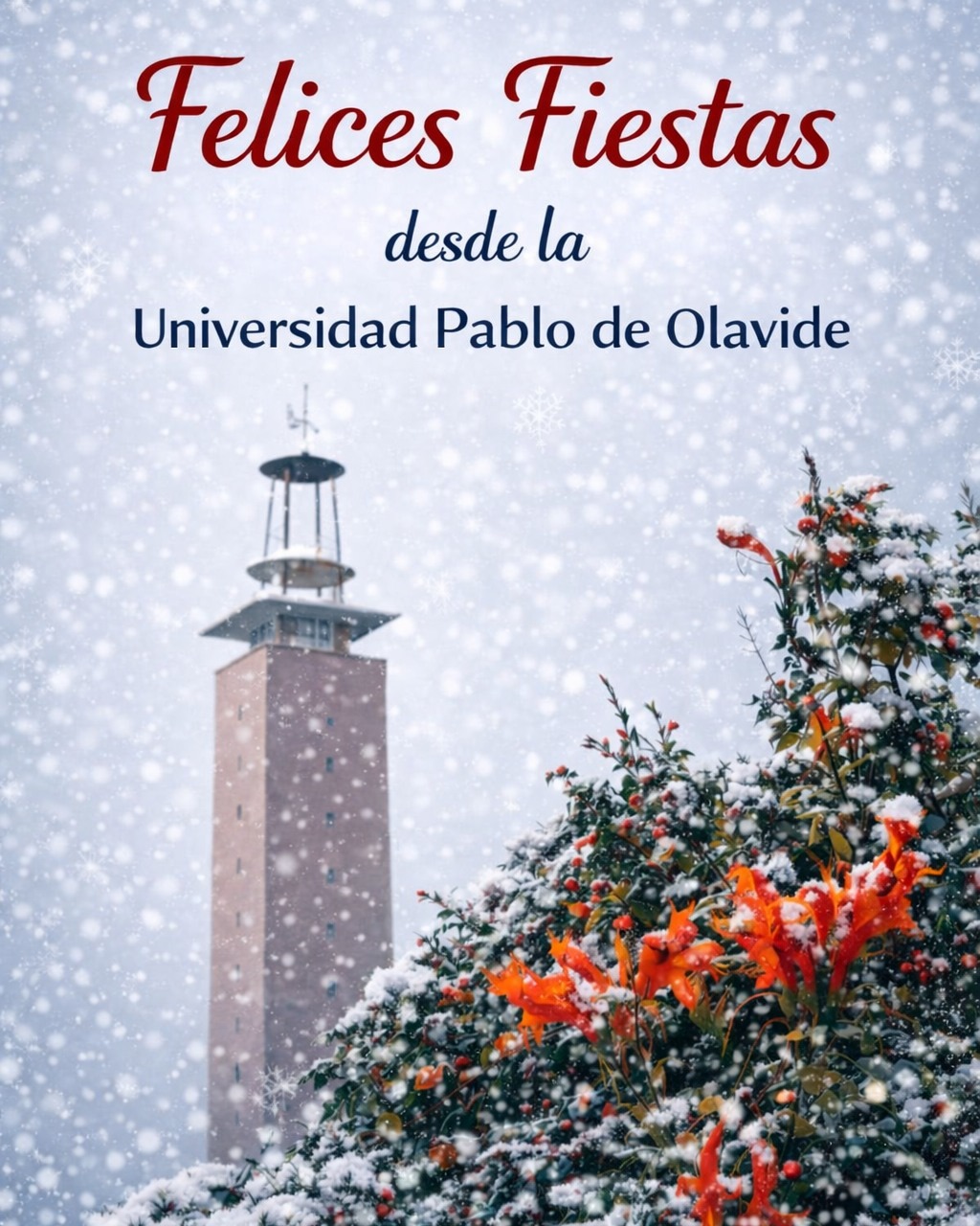 🎄 Desde la Universidad Pablo de Olavide os deseamos unas felices fiestas llenas de buenos momentos.