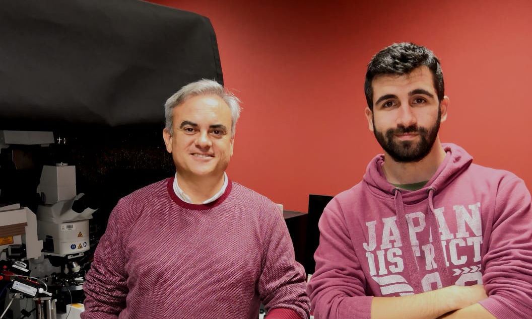 Imagen https://www.upo.es/diario/wp-content/uploads/2026/01/investigadoresUPO_web.jpg