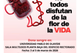 Cartel sobre la donación de sangre con el lema ‘En este jardín no todos disfrutan de la flor de la vida’