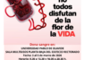 La Universidad Pablo de Olavide inicia este martes una nueva campaña de donación de sangre