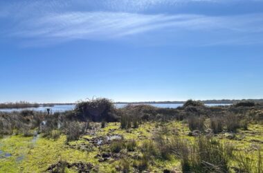 Laguna de Santa Olalla, orilla oeste (febrero de 2026).