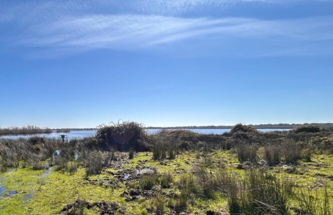 Laguna de Santa Olalla, orilla oeste (febrero de 2026).