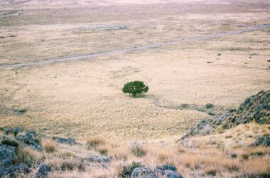 Vista de un paisaje desértico