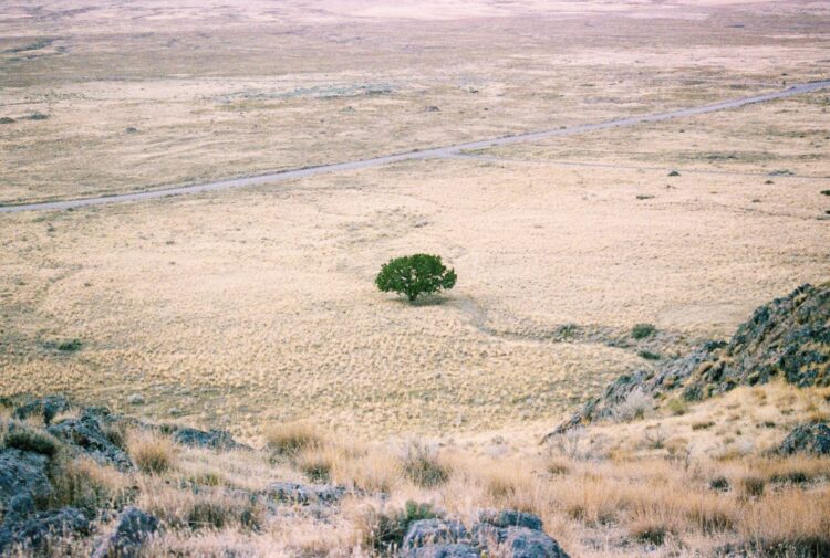Vista de un paisaje desértico