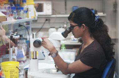 Una investigadora realiza una observación a través de un microscopio