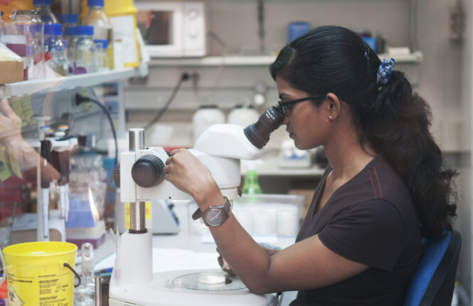 Una investigadora realiza una observación a través de un microscopio