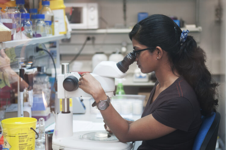 Una investigadora realiza una observación a través de un microscopio
