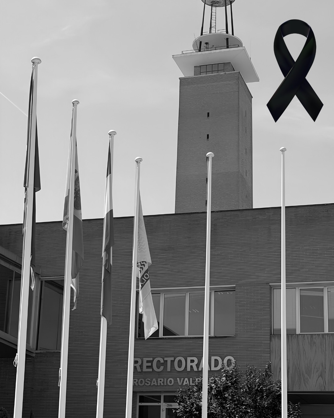 La Universidad Pablo de Olavide se suma al comunicado de las @universidadesandalucia ante el asesinato de una estudiante de la @canalugr durante su estancia académica en México:

"Las Universidades públicas de Andalucía queremos mostrar nuestro más profundo dolor y nuestra firme condena del terrible e intolerable asesinato de una estudiante de la Universidad de Granada, mientras realizaba una estancia académica en Morelos, México.

En nombre de nuestras instituciones, queremos enviar las más sinceras condolencias, apoyo y todo nuestro afecto a sus familiares y seres queridos, así como a sus compañeros y compañeras. Compartimos este dolor y consternación con toda la comunidad universitaria de Granada y con quienes la acogieron durante su estancia.

Las universidades públicas de Andalucía nos unimos en su recuerdo, reafirmamos nuestro compromiso con la dignidad de las personas, la urgente necesidad de una convivencia pacífica y el rechazo a toda forma de violencia, especialmente contra las mujeres por el simple hecho de serlo. Exigimos igualmente que se lleve a cabo una investigación transparente y ágil que permita hacer justicia cuanto antes."

Les convocamos a todos y a todas a una concentración mañana martes a las 11:00 horas en la puerta del Rectorado de nuestra Universidad.