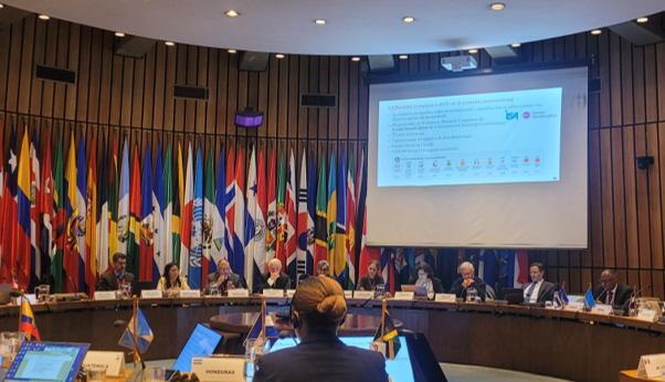 XXV Reunión del Comité Ejecutivo de la Conferencia Estadística de las Américas de la CEPAL 