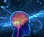 La UPO participa en un proyecto para restaurar la sincronización de los circuitos cerebrales afectados por el Alzheimer