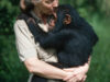 Jane Goodall