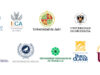 Universidades Públicas Andaluzas