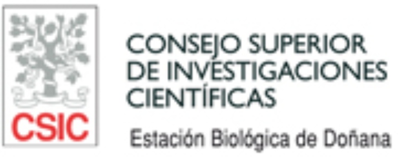 CSIC