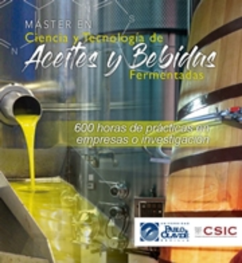 Folleto del Máster