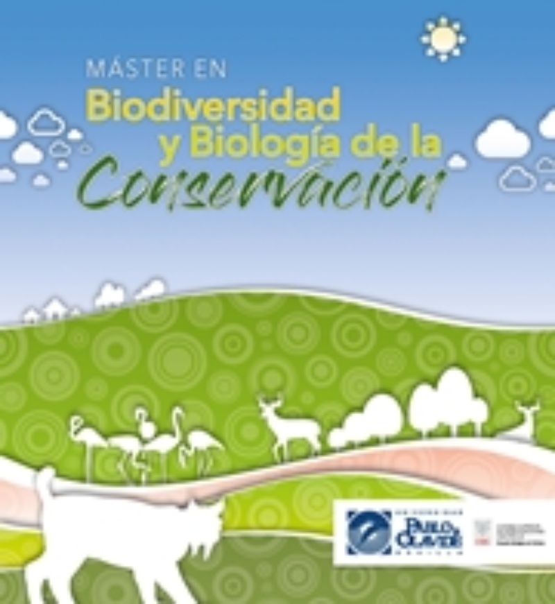 Folleto del Máster