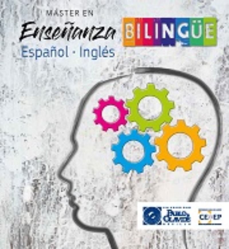 Folleto del Máster