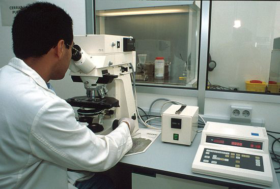 Investigación