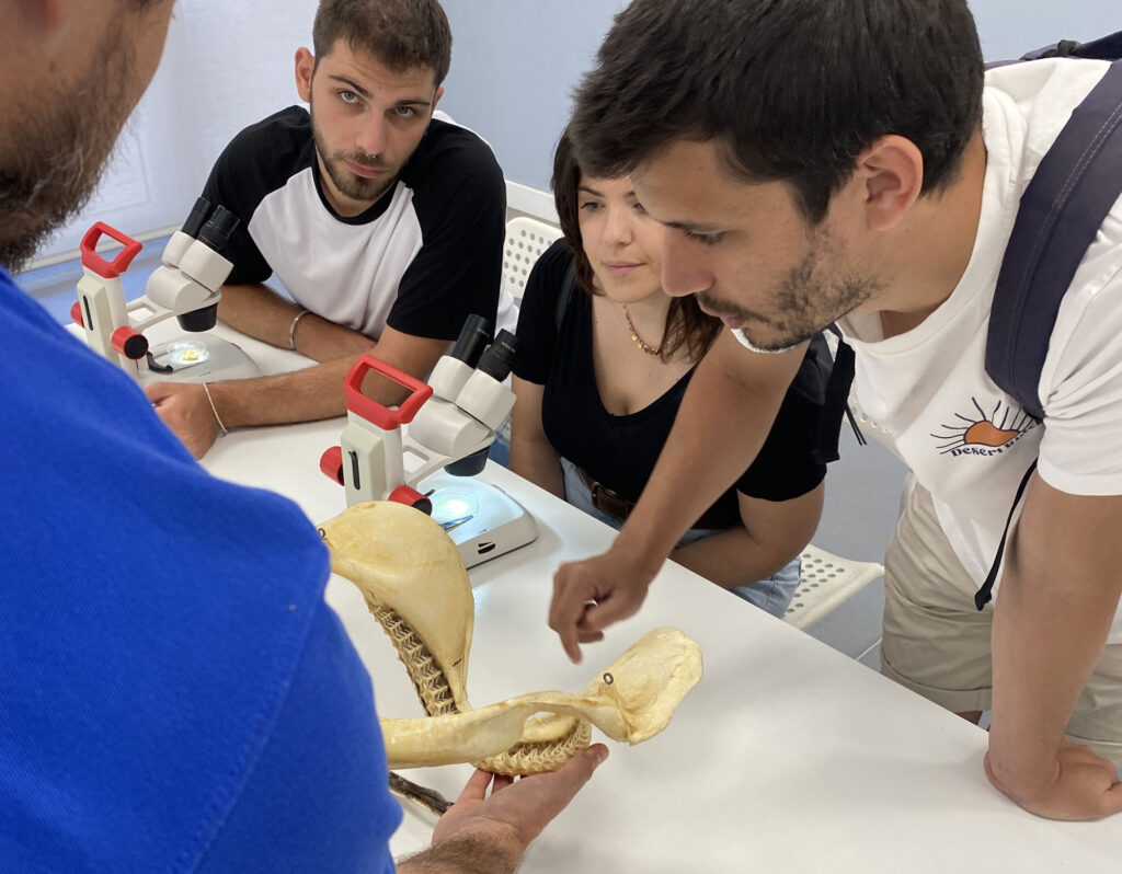 La Universidad Pablo de Olavide y el Acuario de Sevilla presentan la microcredencial ‘Conservación de la biodiversidad marina’