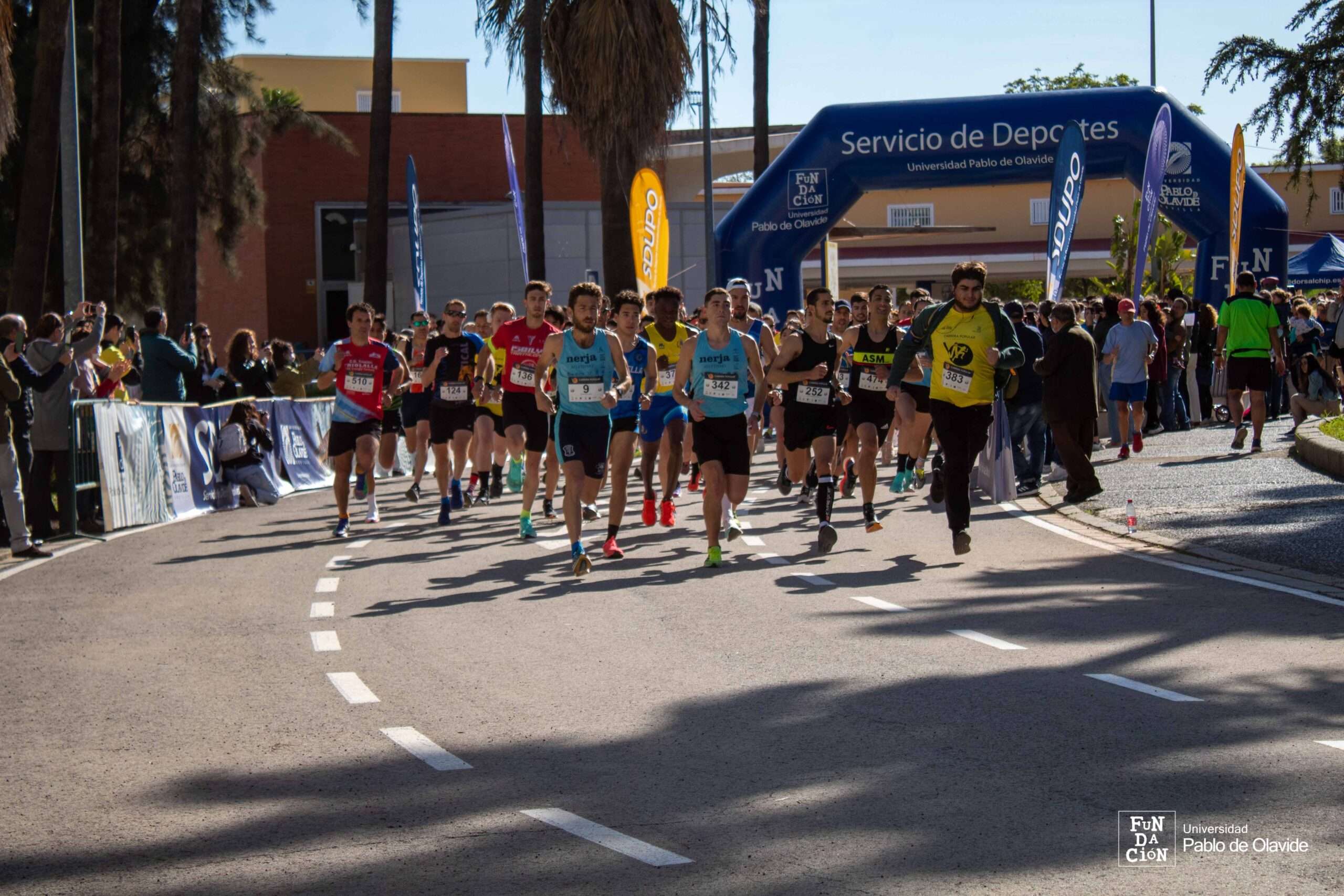 VII Carrera Popular UPO