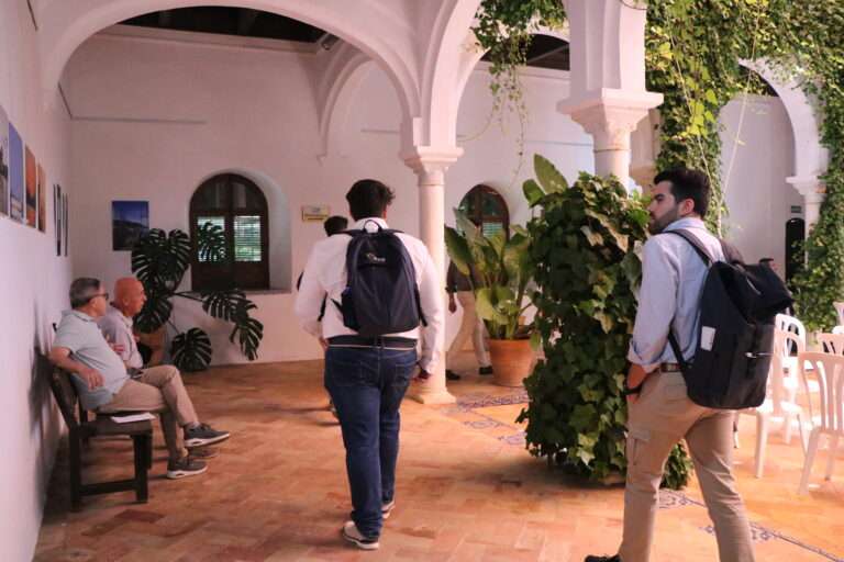 Cursos de Verano, Olavide en Carmona