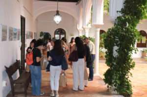 cursos de verano UPO
