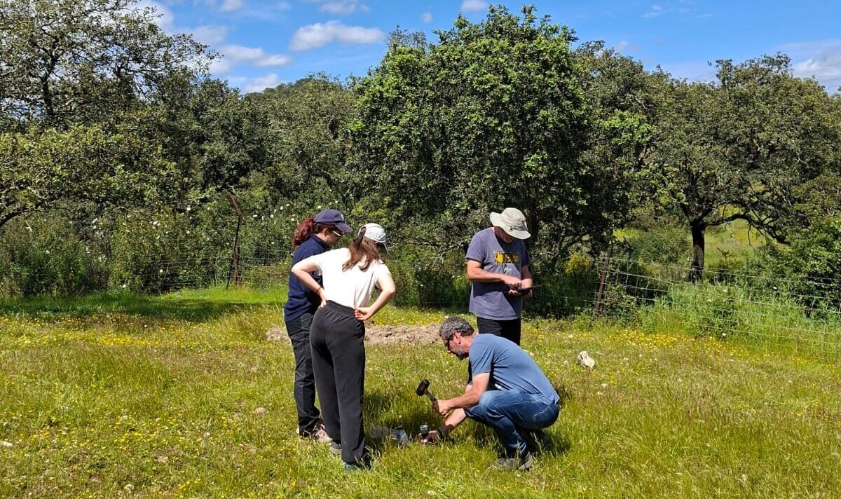 Equipo AgroReg