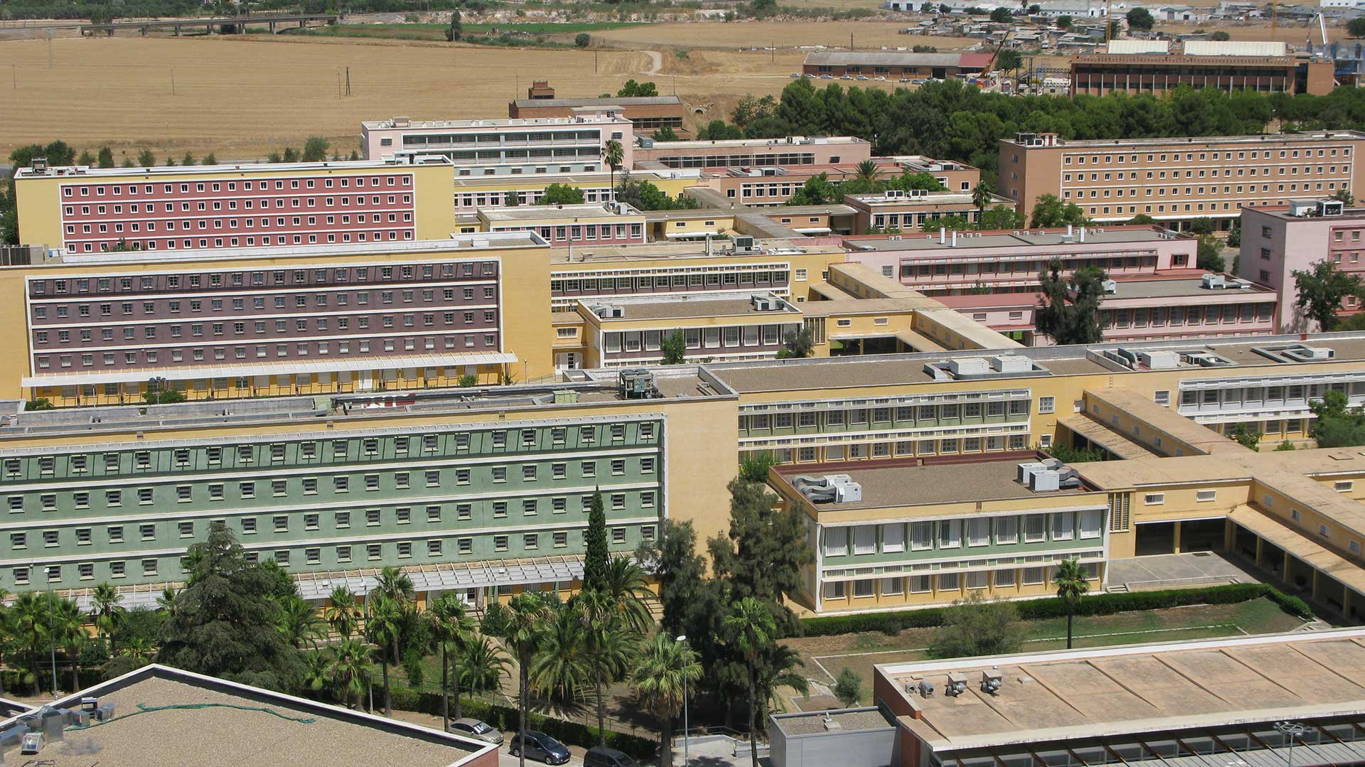 UPO Campus CIPEC Grupo Investigación en Ciencias Penales y Criminológicas