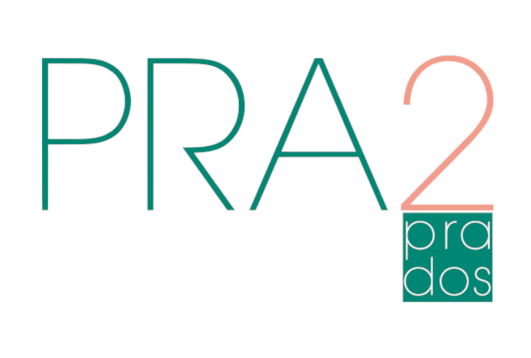 Logo Proyecto PRA2