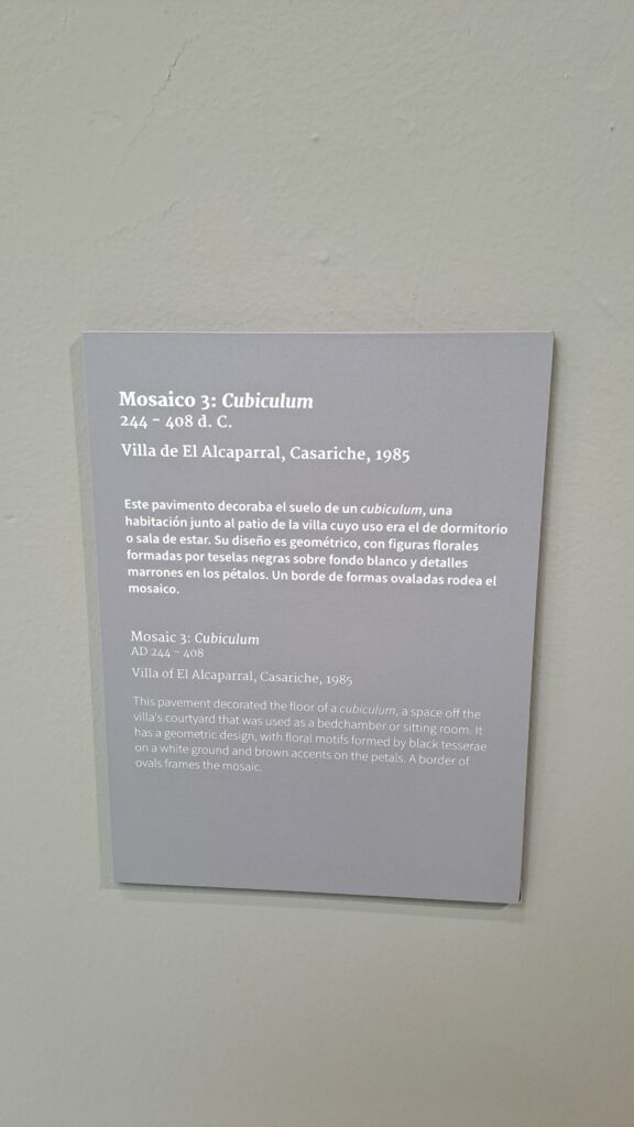 Detalle de la cartela de objeto del mosaico 3: cubiculum