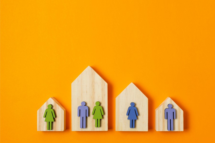 Proyecto FriHousing: personas con discapacidad intelectual y vivienda inclusiva. Barreras psicosociales y políticas