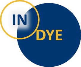 Launch of the INDYE Project Website