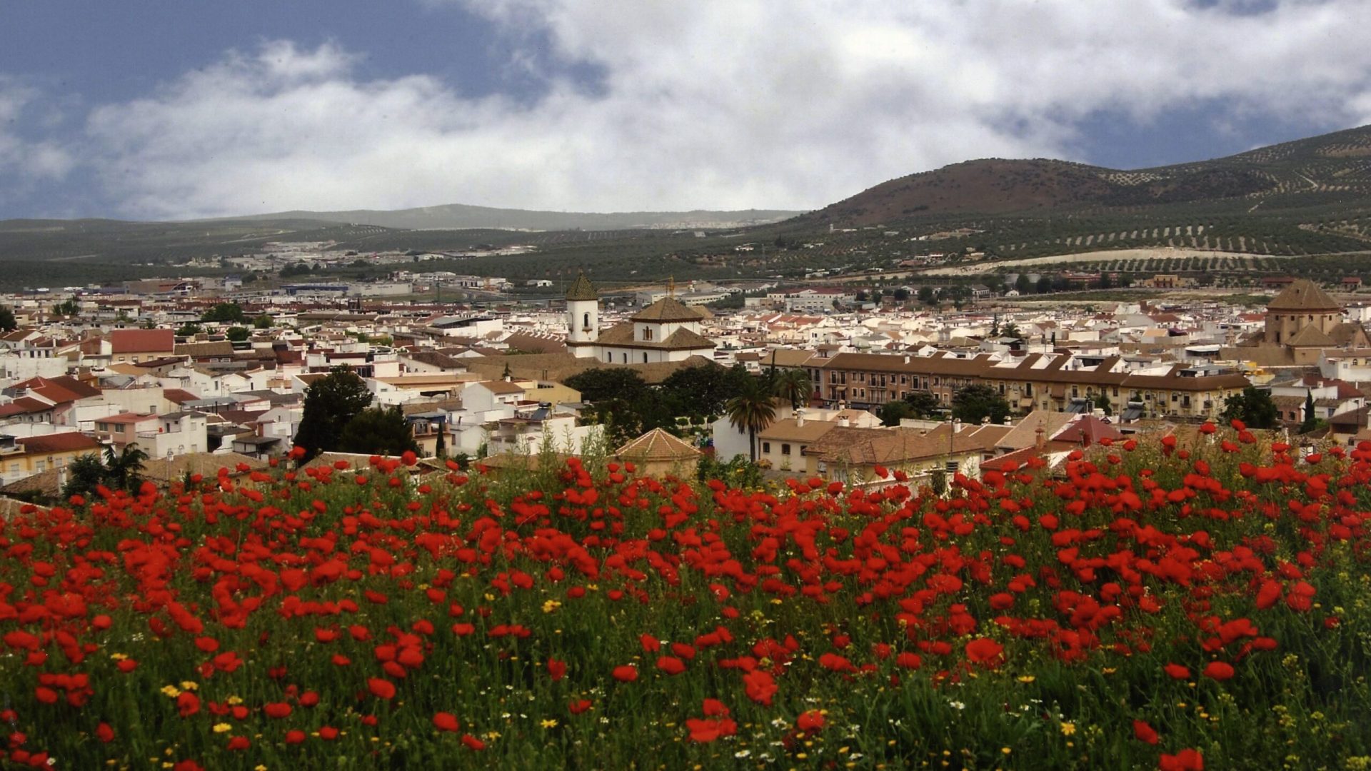 09.NR.Me.Aut.Miguel Cantero Saban. Lucena vista primavera 09.NR.Me.Aut.Miguel Cantero Saban. Lucena vista primavera