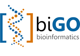 biGO Bioinformatics