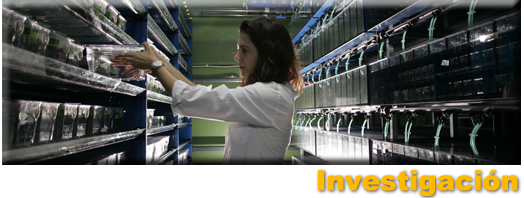 Investigacin