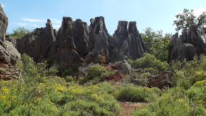 Cerro del Hierro (Parque Natural Sierra Norte)