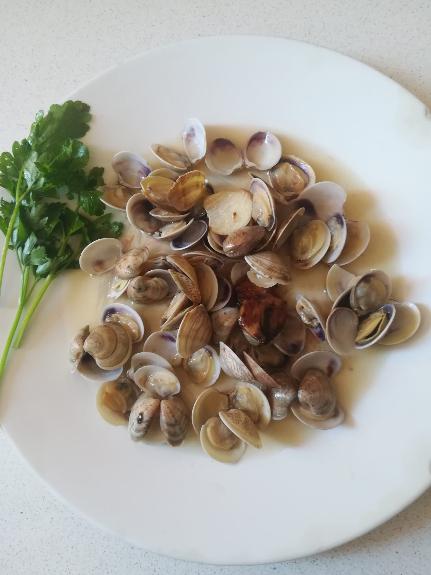 Almejas en salsa