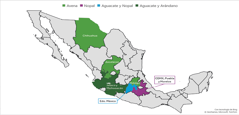 Mapa
El contenido generado por IA puede ser incorrecto.