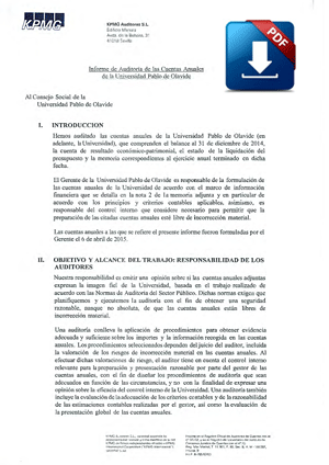 Informe de Auditoría 2014 en PDF