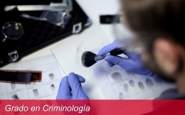 Grado en Criminología