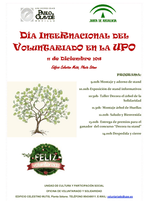 dia-voluntariado-2018-300