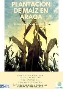 plantacion-de-maiz-212x300