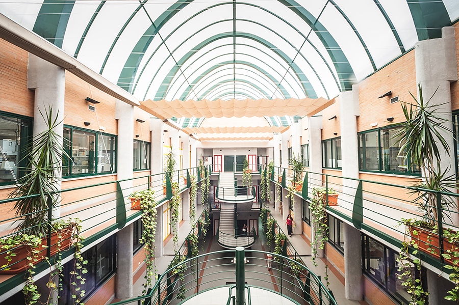 Centro Andaluz de Biología del Desarrollo