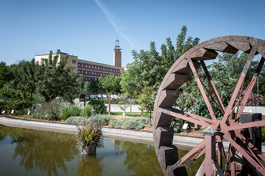 Jardín Botánico