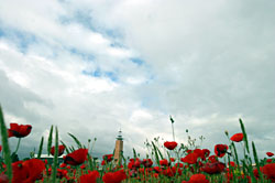 vista del campus de la UPO
