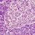 Descrito-el-ADN-regulador-del-pancreas-humano_image_380.jpg
