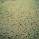 Desertizacion_sciencepics