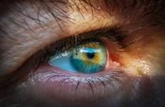 Los ojos de los vertebrados se construyen de forma parecida en el embrión en desarrollo/Pixabay