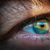 Los ojos de los vertebrados se construyen de forma parecida en el embrión en desarrollo/Pixabay