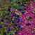 dos neuronas alzheimer